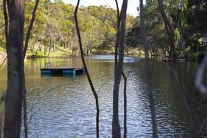 Preston Valley Shed Stay