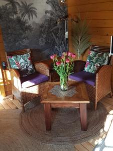Romantisch Huisje uitzicht op de tulpenvelden en nabij het strand