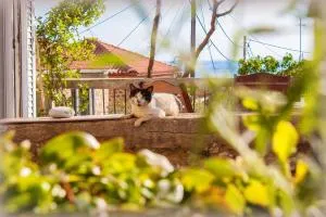 Lucy's Home - 皮尔戈斯