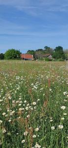 Maisons de vacances Petite ferme dans le Perigord pourpre en Dordogne : photos des chambres