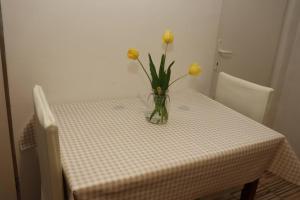 Apartman Lagodi