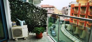 F 207 Primorsko del Sol - просторно студио с кухня