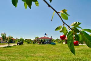 Camping La Foisor Turda