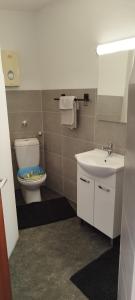 Schöne sonnige Wohnung