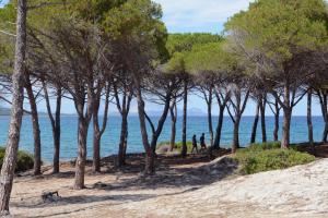 Le Dimore di Budoni Apartments img23