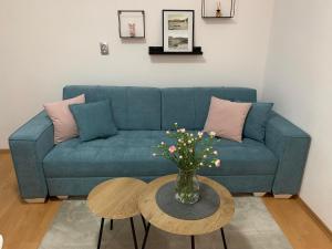 Apartman Mare Blace 