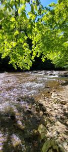 K85 Komańcza Baza Noclegowa Wypadowa Bieszczady Beskid Niski