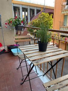 Appartement 1 Chambre