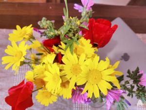 stone house - Evdilos Icaria