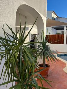 Villa Oleander