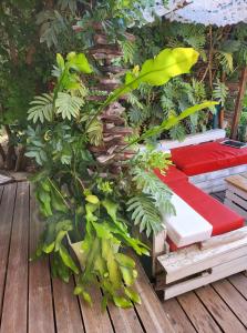 Appartements logement de charme avec piscine et jacuzzi : photos des chambres