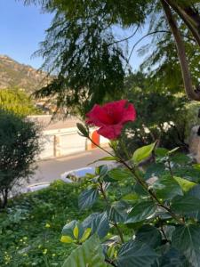 Villa Marie Calp Vue merPiscineclimparkingsmart tv