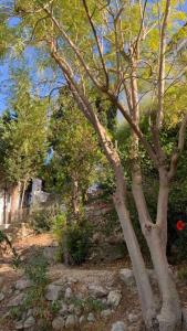 Villa Marie Calp Vue merPiscineclimparkingsmart tv