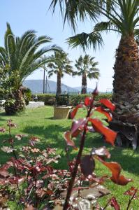 Ariadnes Holiday Accommodation II Lesvos Greece