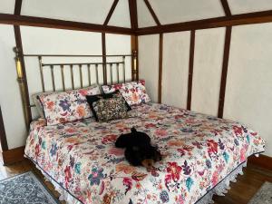 Penthouse Apartment room in Hearts Desire Bed & Breakfast
