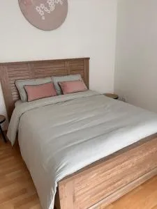 Appartement 1 chambre rue Faubourg de Besançon - Dung