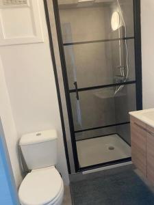 Nieuwe studio Westende Edelweiss