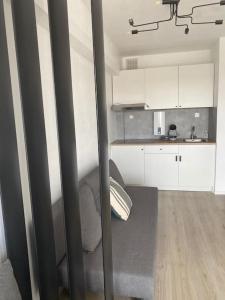 Nieuwe studio Westende Edelweiss