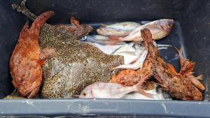 Villa HAUS NIKO - "MaxSea" suite with sauna