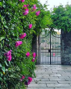 Holiday home with private garden 1200 m2