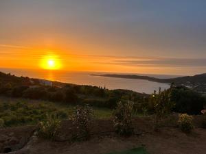 Appartements Appartement 4A villa cargese : photos des chambres