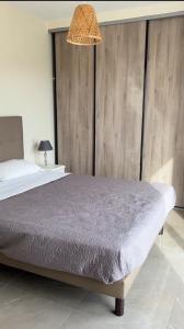 Appartements Appartement 140M2 villa cargese : photos des chambres