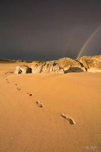 Maisons de vacances Maison au calme a l'interieur du golf de Ploemel, entre terre et mer, 2 chambres, 10 min des plages : photos des chambres
