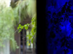 Palais Shéhérazade & Spa