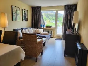 Panoramablick Winterberg - 3 Zimmer - Silbach