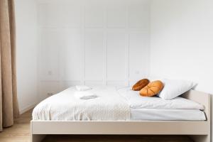 P&O Apartments Rakowska