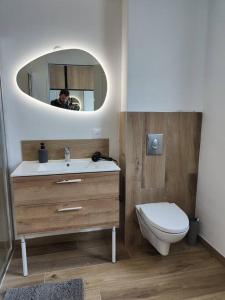 Appartements Studio neuf proche centre-ville : photos des chambres