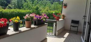 Villa Garden & Pool - Alojamentos