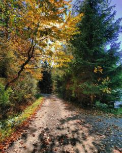 SielskoAnielsko w Beskidzie Niskim