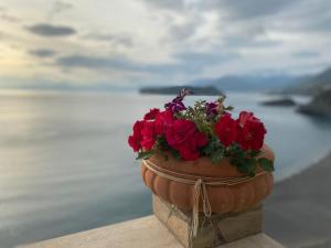 Suite Deluxe con Vista Mare