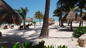 Amaite Holbox - Oceanfront Hotel