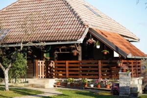 Medjedovica Brdo Godovik