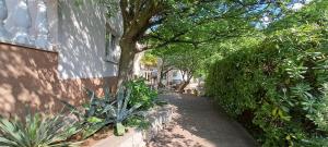Villa HAUS NIKO