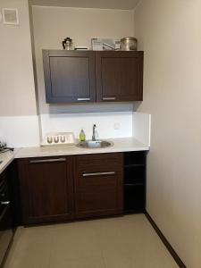 Apartament Paderewskiego 1