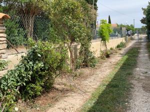 Appartements Gites dans les alpilles : photos des chambres