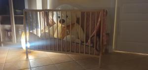 Sea & Mountain Apartment Close to Port and City