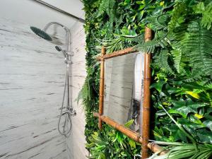 Appartements Nuit dans la jungle - love room : photos des chambres