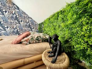 Appartements Nuit dans la jungle - love room : photos des chambres