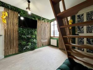 Appartements Nuit dans la jungle - love room : Appartement 1 Chambre