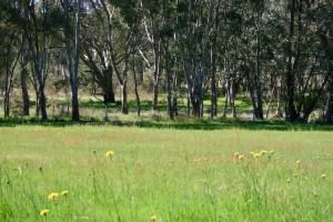 Serena Cottages Beechworth - Your Country Getaway - 1