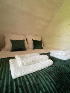 Soft Wood House