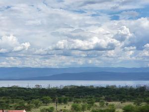 Jackys majesty beds apartment