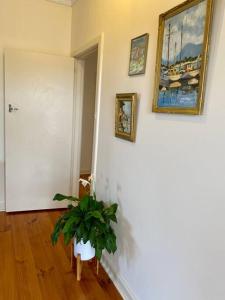 Tumby Bay Escape - 4BR - Beautiful Beach Cottage