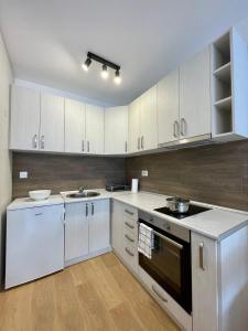 Apartment DINO Zlatibor