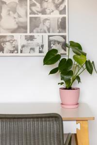 Boho Chic Apartment Stellenbosch