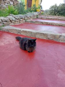 Agriturismo Agrisole img30